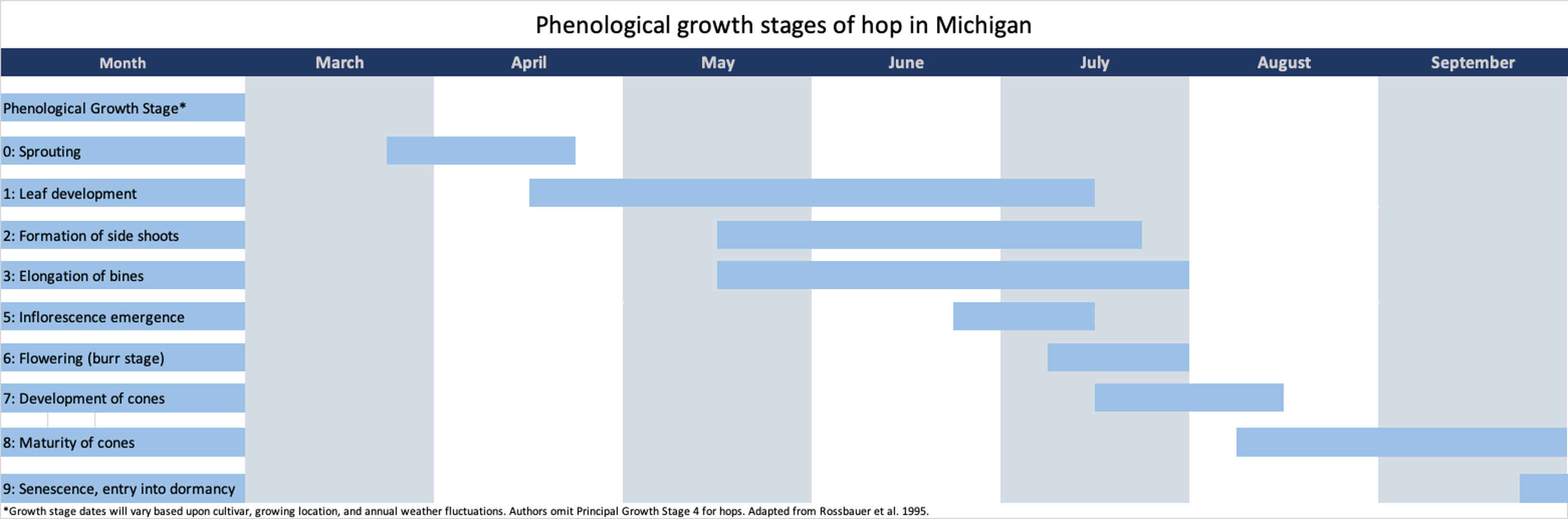 A horizontal timeline chart showing the timing of hop growth stages from March through September in Michigan. Stages include sprouting, leaf development, side shoot formation, flowering, cone development, and maturity. Cone development starts in July and matures into August and September.
